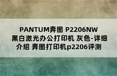 PANTUM奔图 P2206NW 黑白激光办公打印机 灰色-详细介绍 奔图打印机p2206评测